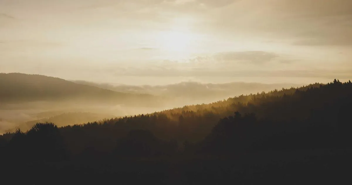 Découvrez l'univers captivant de psthc evil west
