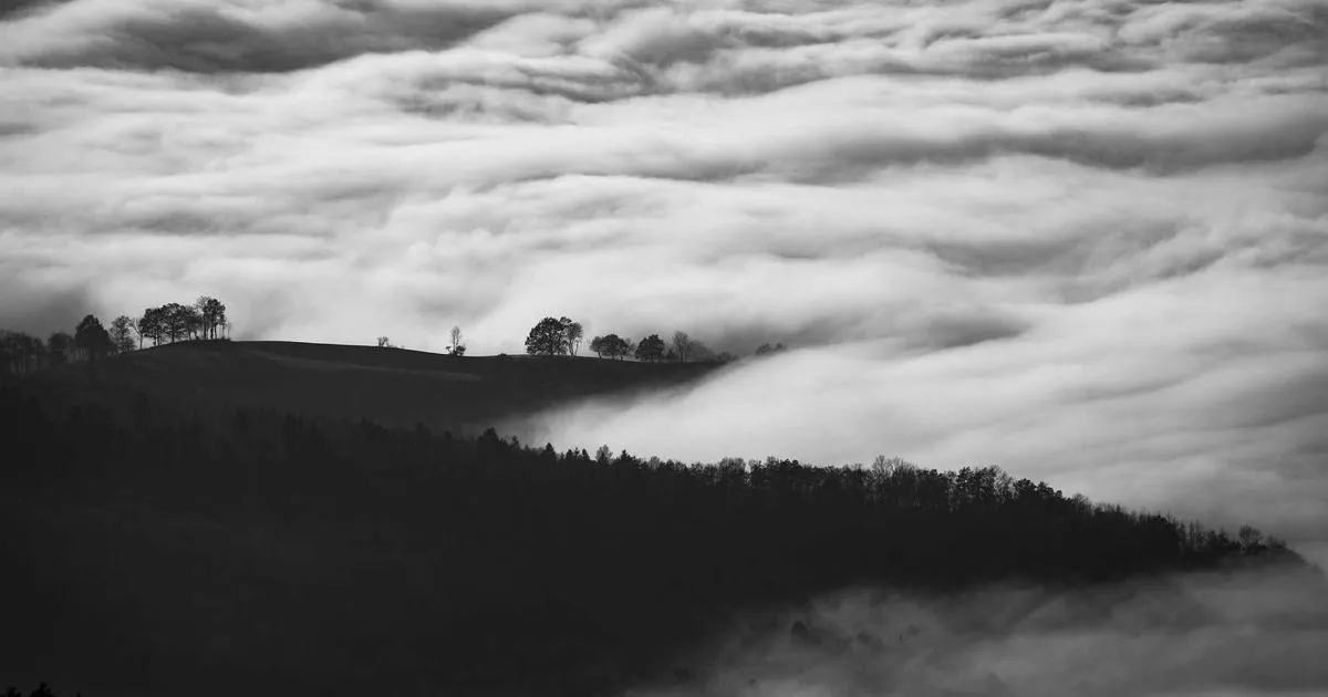 OnePlus en pleine tempête : un avenir incertain pour le géant de la tech